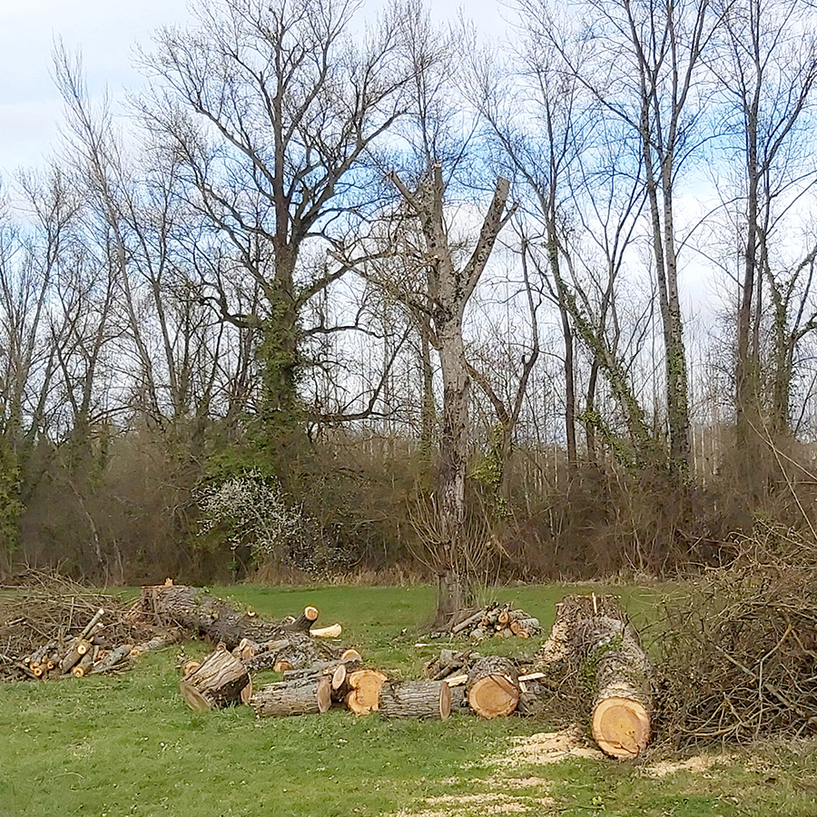 placeholder image-sq