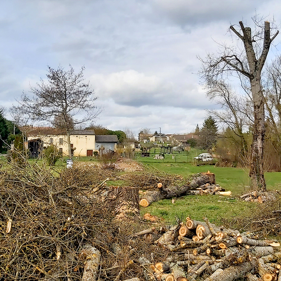 placeholder image-sq