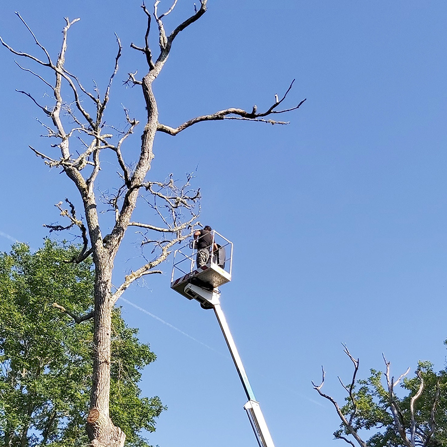 placeholder image-sq