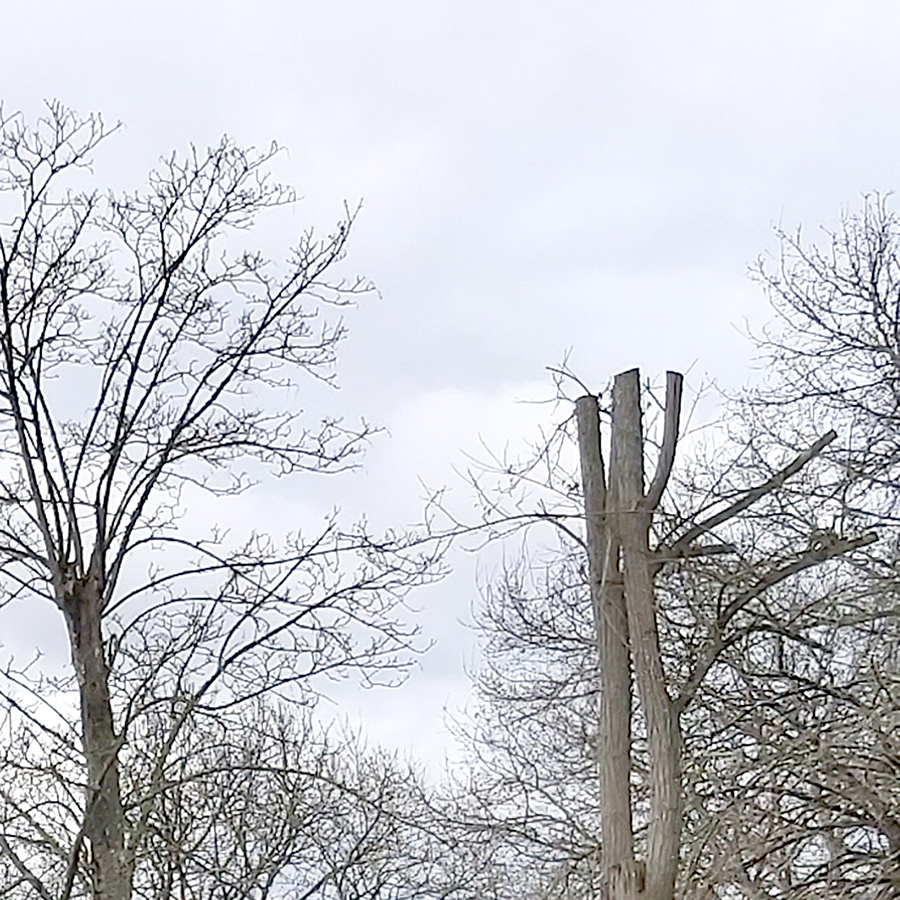 placeholder image-sq