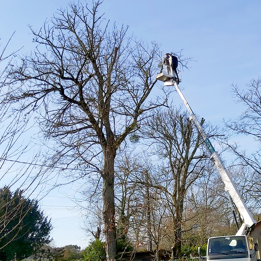 placeholder image-sq