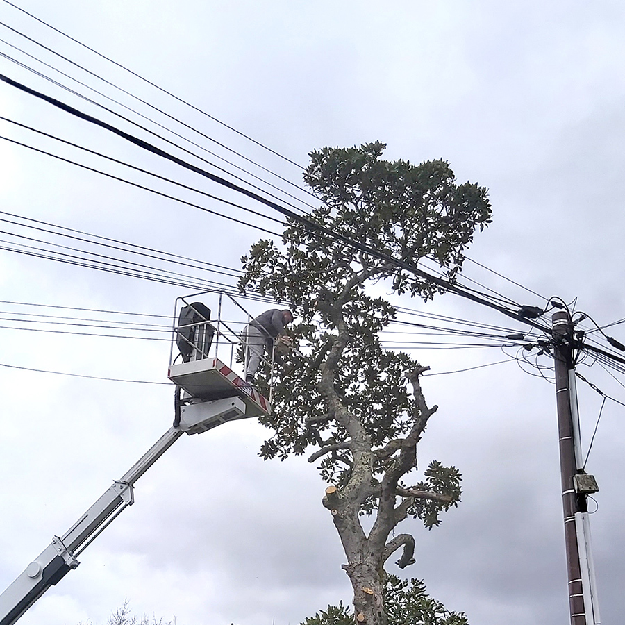 placeholder image-sq