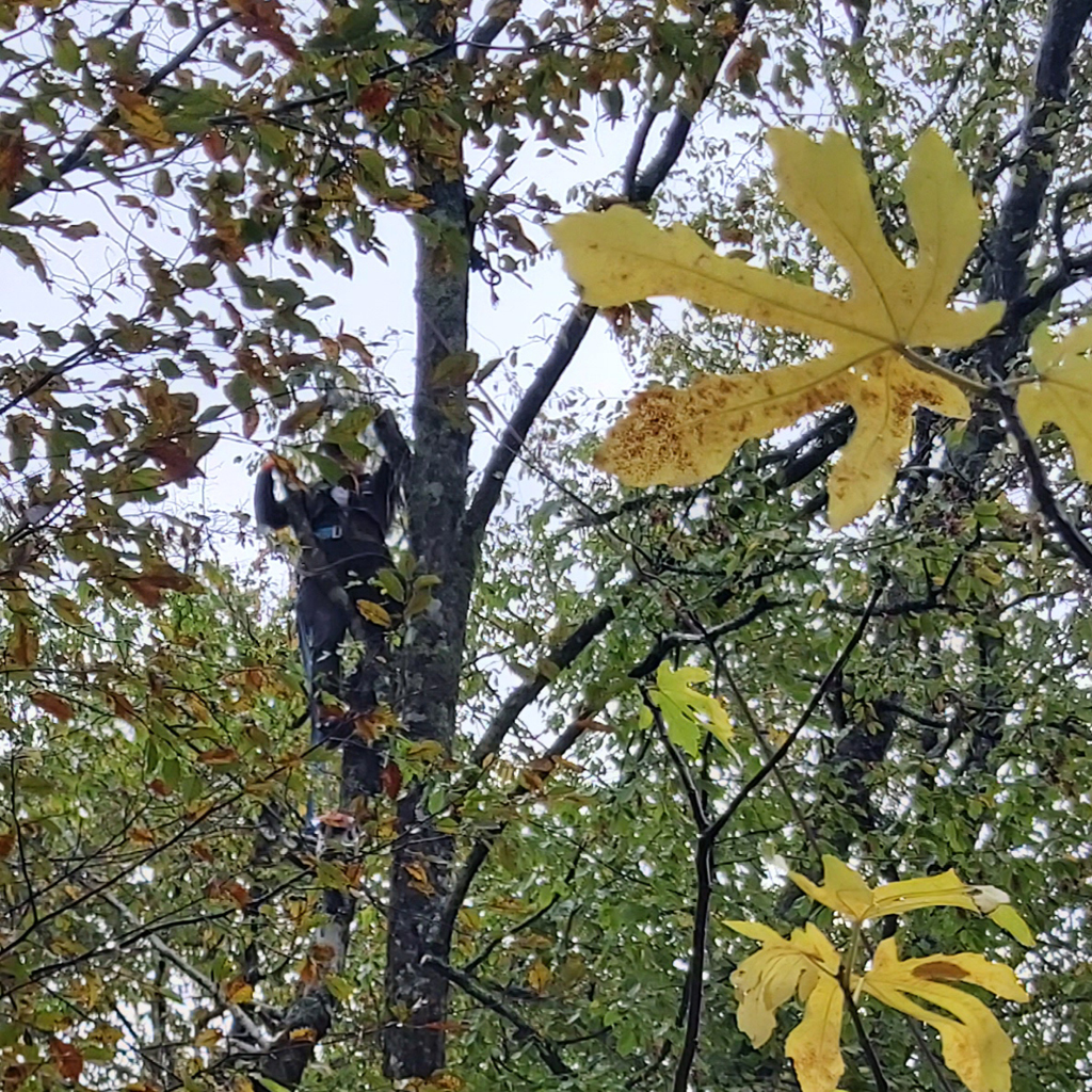 placeholder image-sq