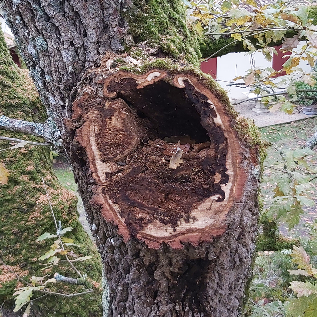 placeholder image-sq