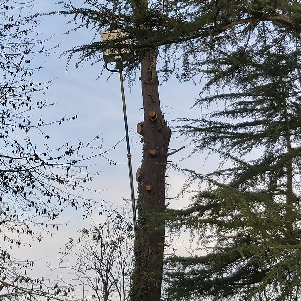 placeholder image-sq