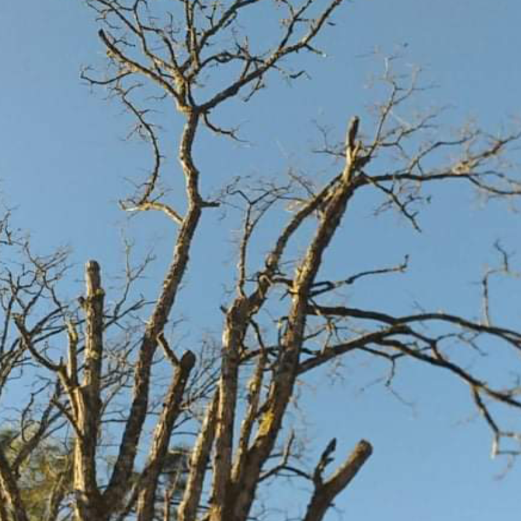 placeholder image-sq