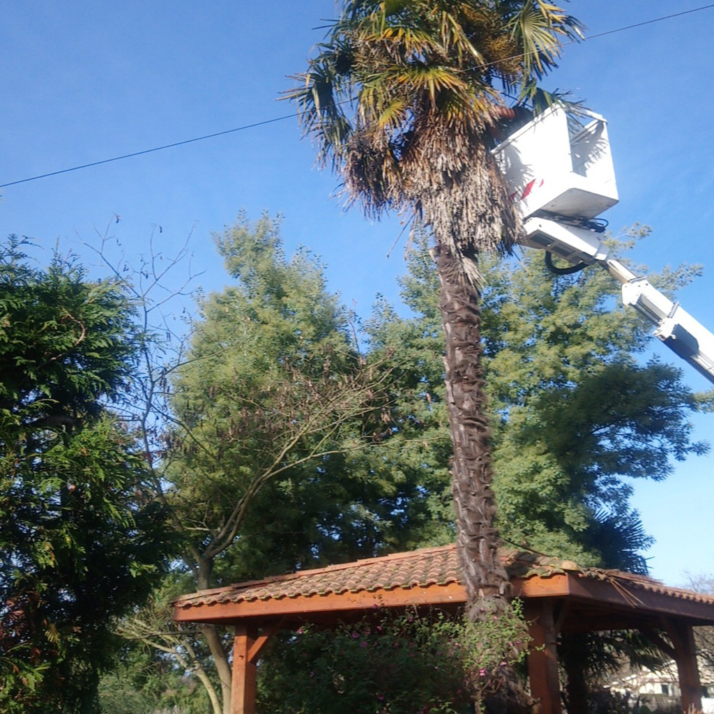 placeholder image-sq