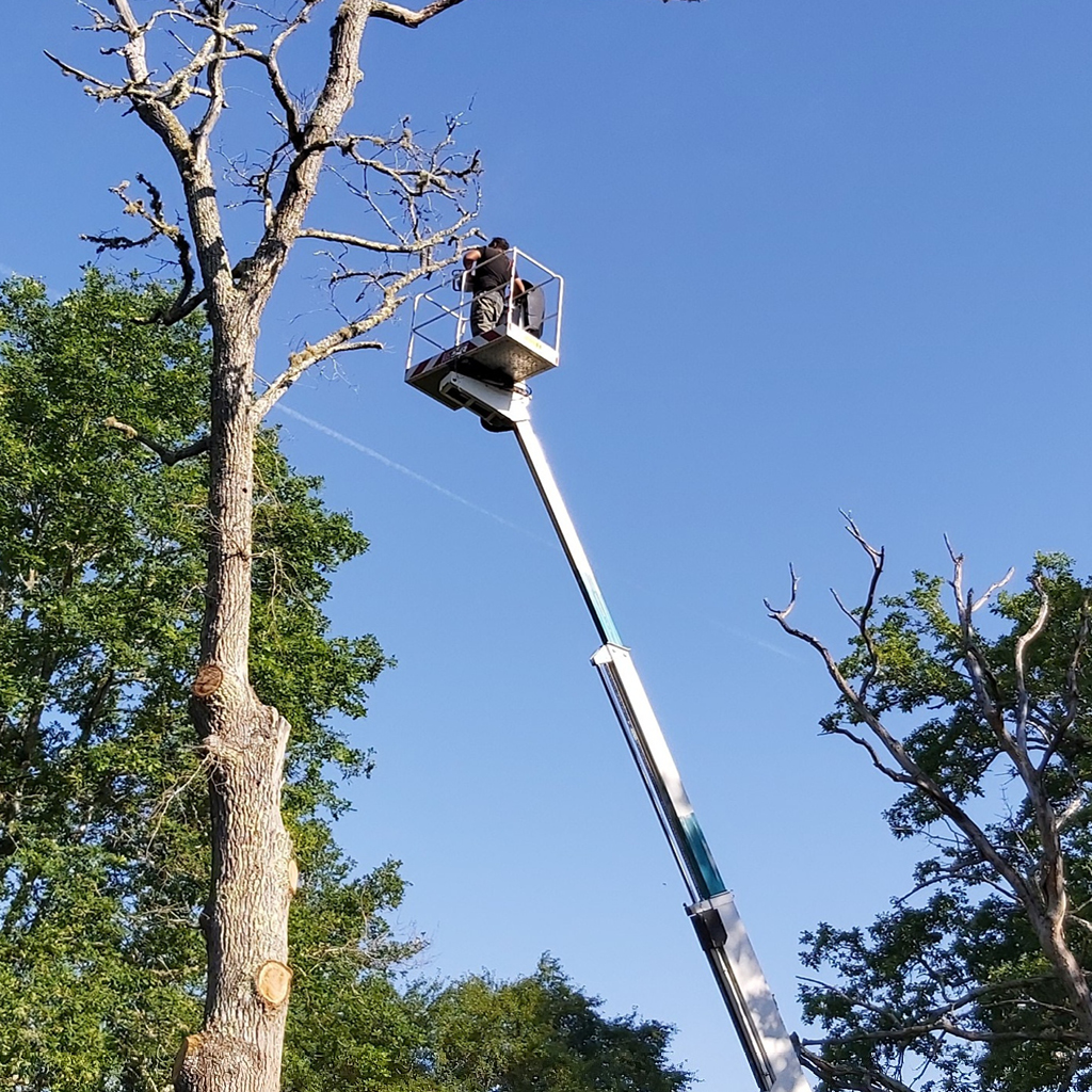 placeholder image-sq