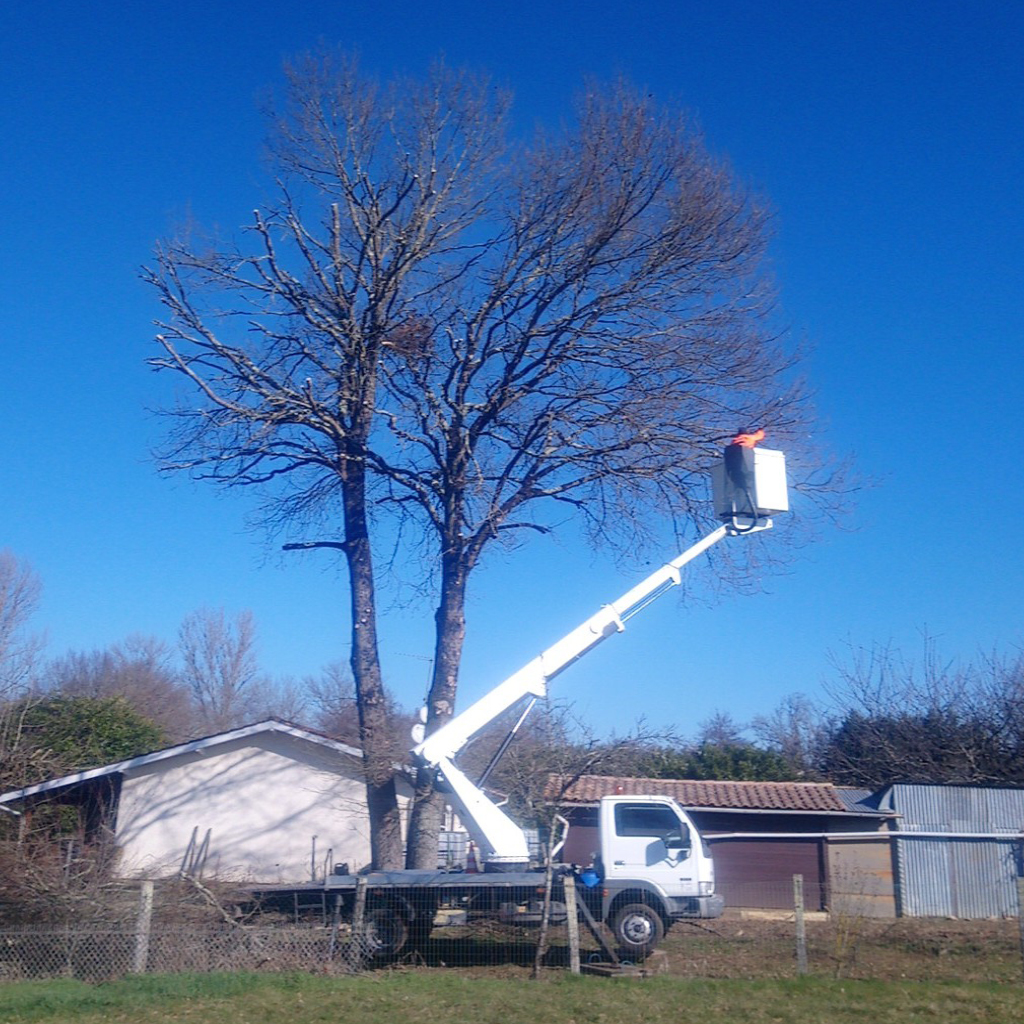 placeholder image-sq